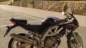 Suzuki SV 650 S (2003 - 06) 