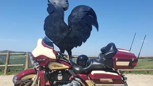 Harley-Davidson 1584 Electra Glide Ultra Classic (2007) - FLHTCU 