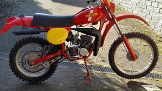 Betamotor 