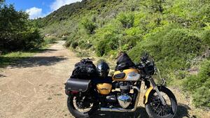 Triumph Bonneville T100 (2017 - 20) 