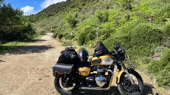 Triumph Bonneville T100 (2017 - 20) usata