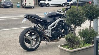 Triumph Speed Triple 955 (2002 - 04) usata