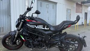 Benelli 502 C (2021 - 25) 