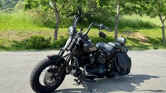 Harley-Davidson 1584 Cross Bones (2008 - 11) - FLSTSB usata