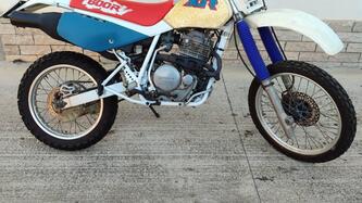 Honda XR 600 R (1990 - 94) usata