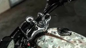 Moto Guzzi   (7)