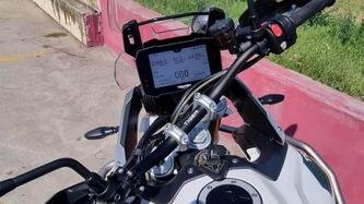 Triumph Tiger 900 Rally Pro (2020 - 23) usata