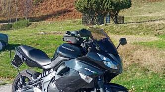 Kawasaki ER-6F (2009 - 11) usata