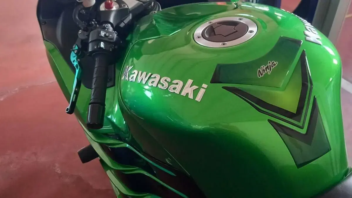 Kawasaki ZZR 1400 ABS (2012 - 15)  (3)