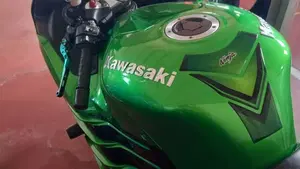 Kawasaki ZZR 1400 ABS (2012 - 15)  (3)