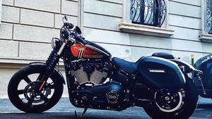 Harley-Davidson Street Bob 114 (2021 - 24) 