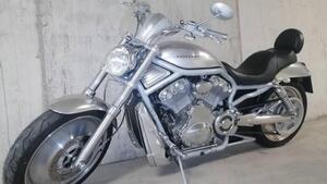 Harley-Davidson 1130 V-Rod (2002 - 05) - VRSCA 