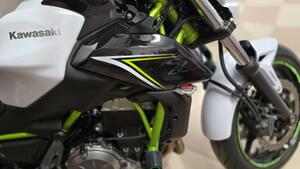 Kawasaki Z 650 (2017 - 19) 