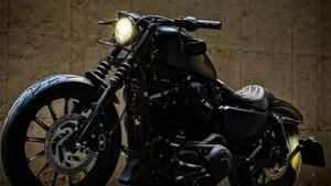 Harley-Davidson 883 Iron (2014 - 16) - XL 883N 