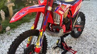Betamotor RR 300 2T Enduro (2020) usata