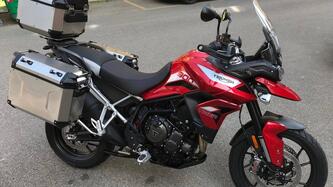 Triumph Tiger 900 GT Pro (2020 - 23) usata