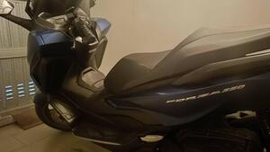 Honda Forza 350 (2022 - 24) 