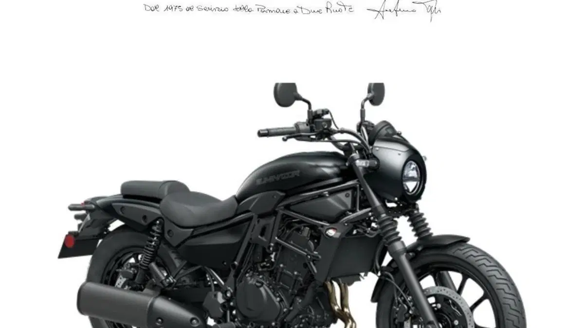 Kawasaki Eliminator 500 SE (2024 - 26) 