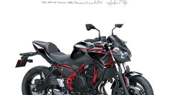 Kawasaki Z 650 (2021 - 24) nuova