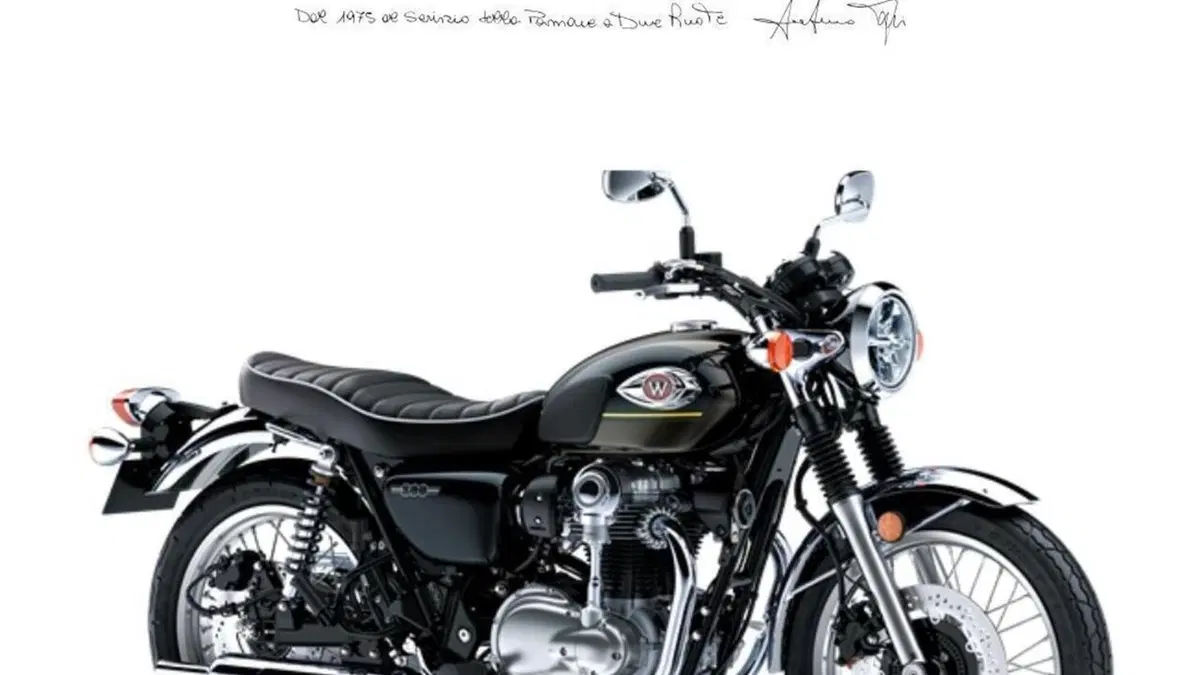 Kawasaki W 800 (2021 - 26) 