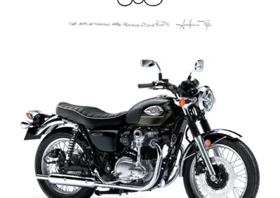 Kawasaki W 800 (2021 - 26) - Annuncio 9545675
