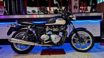 Triumph Bonneville SE (2009 - 13) usata