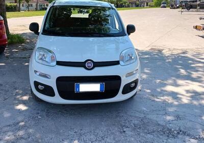 Fiat Panda 1.2 Easy usata