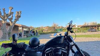 Harley-Davidson 883 Iron (2017 - 20) - XL 883N