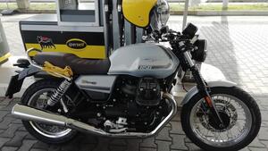 Moto Guzzi V7 Special (2021 - 24) 