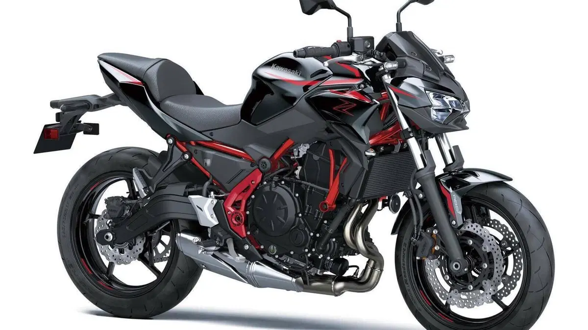 Kawasaki Z 650 (2025 - 26) 