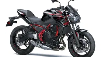 Kawasaki Z 650 (2025 - 26)