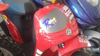 Betamotor Chrono 50 13 (1994 - 95) usata