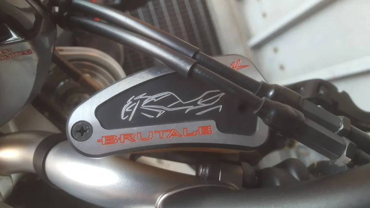 MV Agusta Brutale 1078 RR  (13)