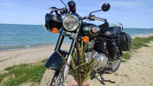 Royal Enfield Bullet 500 EFI STD - Entry Level (2017 - 20) 