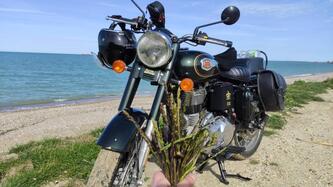 Royal Enfield Bullet 500 EFI STD - Entry Level (2017 - 20) usata