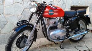 Benelli  