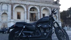 Harley-Davidson 883 Iron (2014 - 16) - XL 883N 