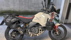 Ducati DesertX (2022 - 25) 