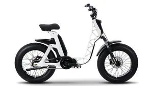 Fantic Motor Issimo 25 Urban (2022 - 26) 