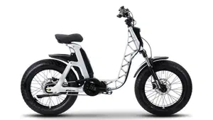 Fantic Motor Issimo 25 Urban (2022 - 26)  (5)