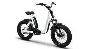 Fantic Motor Issimo 25 Urban (2022 - 26)  (2)