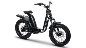 Fantic Motor Issimo 25 Urban (2022 - 26) 