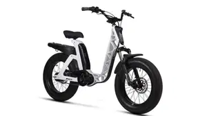 Fantic Motor Issimo 25 Urban (2022 - 26)  (3)