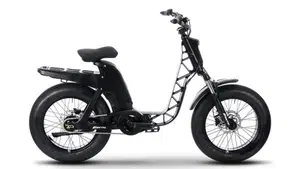 Fantic Motor Issimo 25 Urban (2022 - 26)  (2)