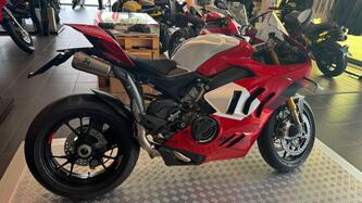 Ducati Panigale V4 R (2023 - 24) usata