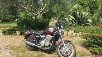 Triumph 