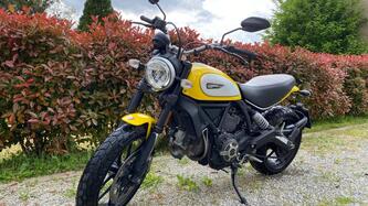 Ducati Scrambler 800 Icon (2017 - 20) usata