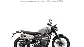 Triumph Scrambler 1200 X (2024 - 25) nuova