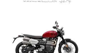 Triumph Scrambler 1200 X (2024 - 26) nuova