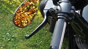 Harley-Davidson 107 Fat Bob (2017 - 20) - FXFB  (11)